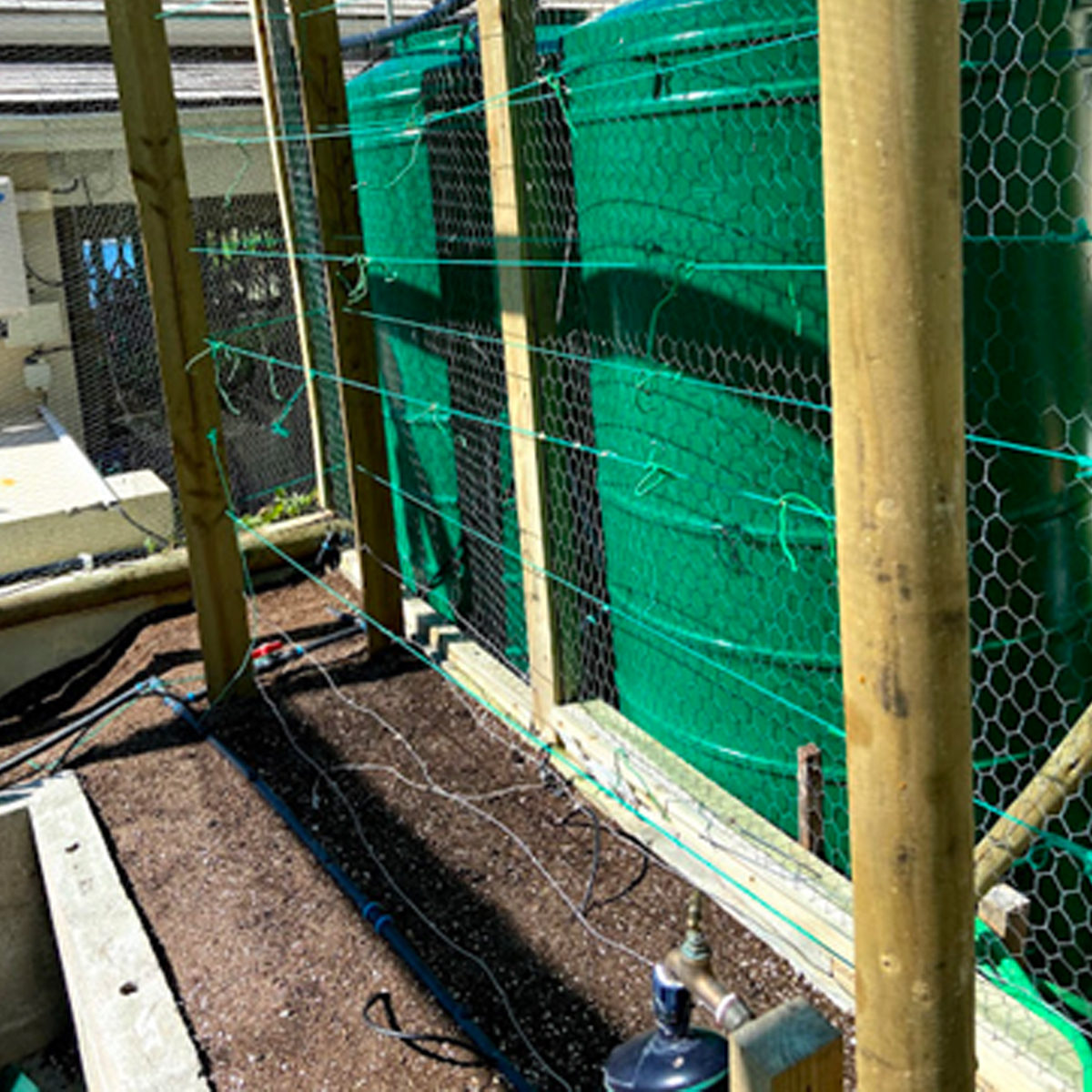 germination-soil-tanks.jpg